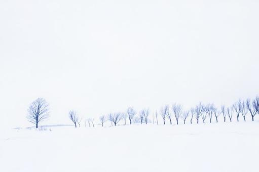 雪原に佇む木々、イメージ処理 雪原に佇む木々、イメージ処理の写真