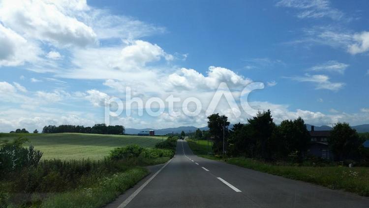 北海道の道路と農地の風景 北海道,美瑛,パッチワークの写真素材