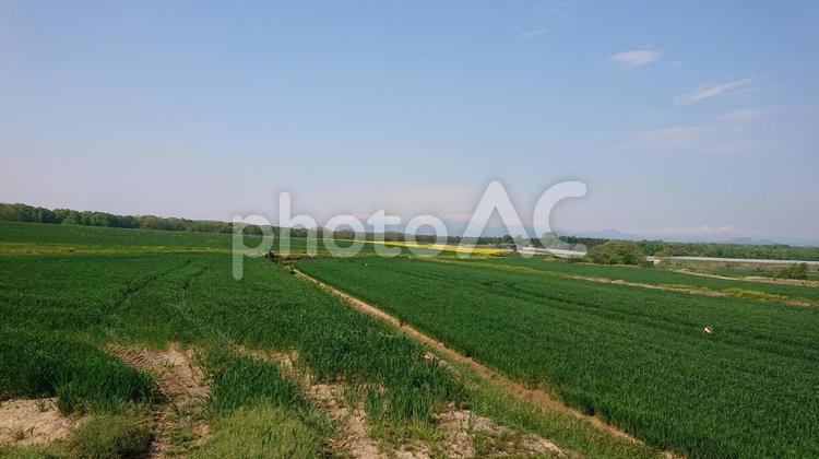 田舎の風景 北海道,空,畑の写真素材