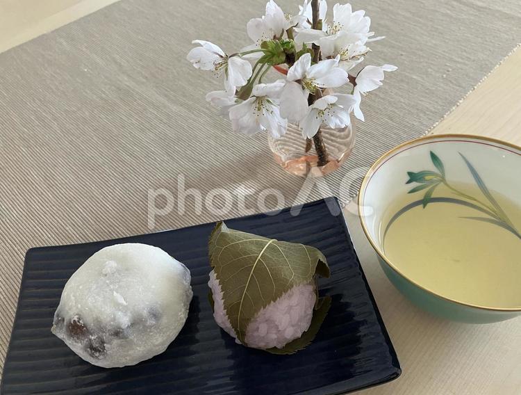 桜と和菓子 桜,桜餅,豆大福の写真素材