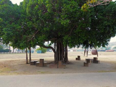台湾 高雄 哈瑪星鉄道文化園区12 台湾,高雄,哈瑪星鉄道文化園区の写真素材