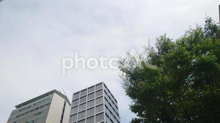 薄雲の都会のビル ビル,都会,曇の写真素材