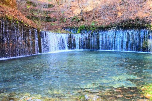 白糸の滝 白糸の滝の写真