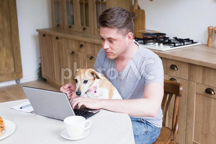 仕事中の男性と犬 ペット,犬,男性の写真素材