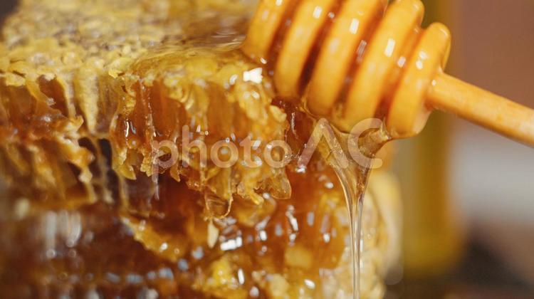 ハニーディッパーから垂れた蜂蜜と塊 蜜蝋,天然素材,保湿の写真素材