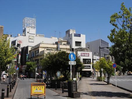 小田原市街・錦通り商店街の夏 錦通り商店街,夏,商店街の写真素材