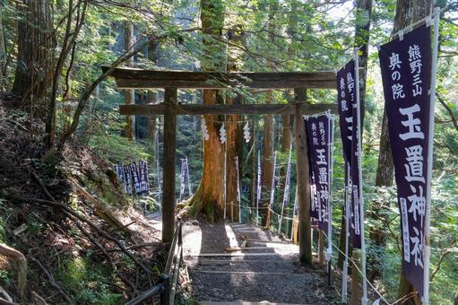 奈良 玉置神社 参道と鳥居 奈良 玉置神社 参道と鳥居 玉置神社,鳥居,参道の写真素材