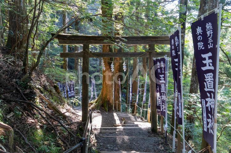 奈良　玉置神社　参道と鳥居 玉置神社,鳥居,参道の写真素材