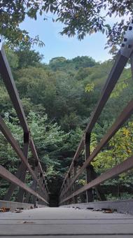 西沢渓谷　橋002 橋,西沢渓谷,滝の写真素材