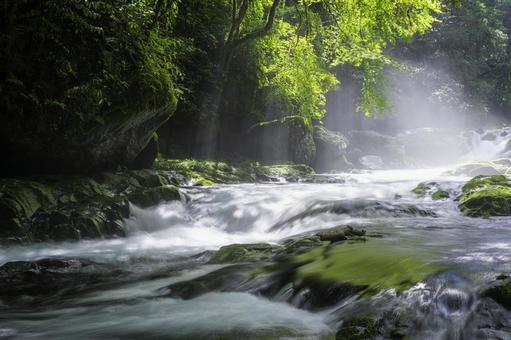 熊本-【菊池渓谷の光芒】 熊本-【菊池渓谷の光芒】 熊本,菊池渓谷,川の写真素材