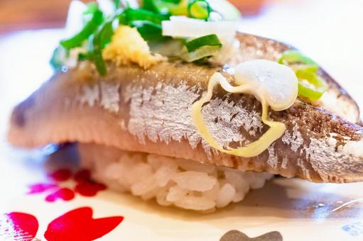 イワシのにぎり寿司 イワシ,寿司,にぎり寿司の写真素材