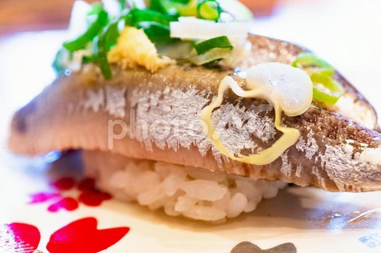 イワシのにぎり寿司 イワシ,寿司,にぎり寿司の写真素材
