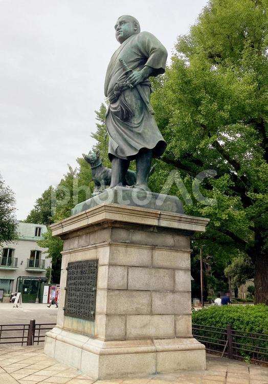 東京風景・上野公園 上野公園,上野恩賜公園,西郷隆盛像の写真素材