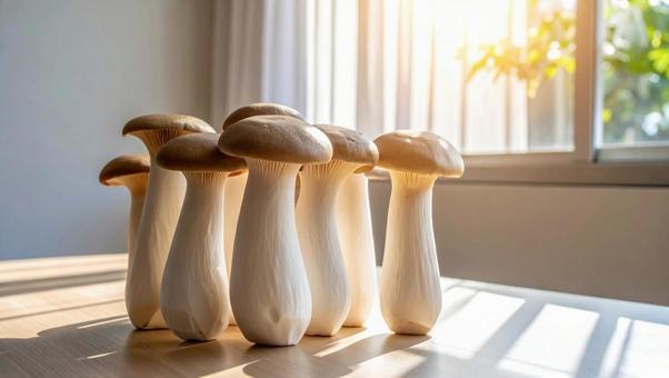 早朝に交渉に臨もうとするエリンギたち 早朝に交渉に臨もうとするエリンギたちの写真