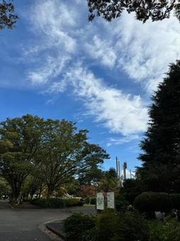 公園 公園の写真