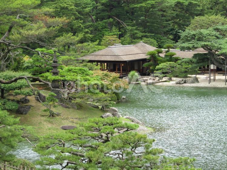 香川県　栗林公園　32 栗林公園,香川県,自然の写真素材