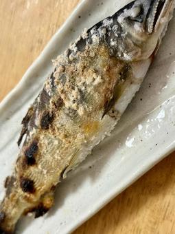 鮎の塩焼き 鮎の塩焼きの写真