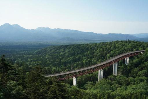 樹海に佇む天空の道 樹海に佇む天空の道 北海道,ドライブ,十勝シーニックバイウェイの写真素材