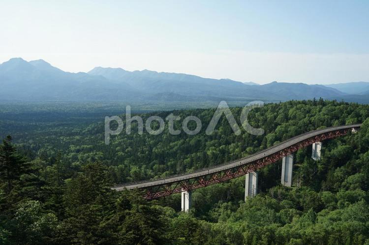 樹海に佇む天空の道 北海道,ドライブ,十勝シーニックバイウェイの写真素材