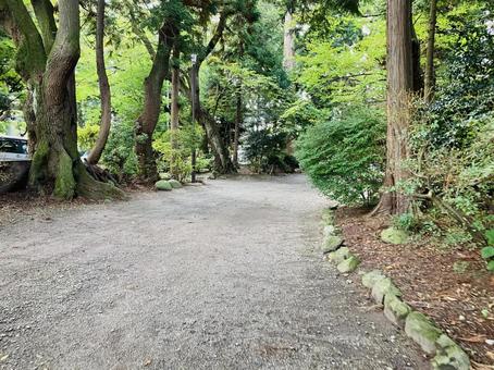 駒形神社 参道 駒形神社 参道 駒形神社,岩手県奥州市,陸中国一宮の写真素材