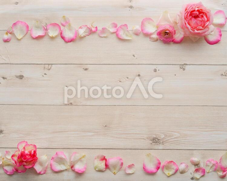 ピンクのバラの花びら　フレーム　メッセージボード 花束,ピンク,ブーケの写真素材