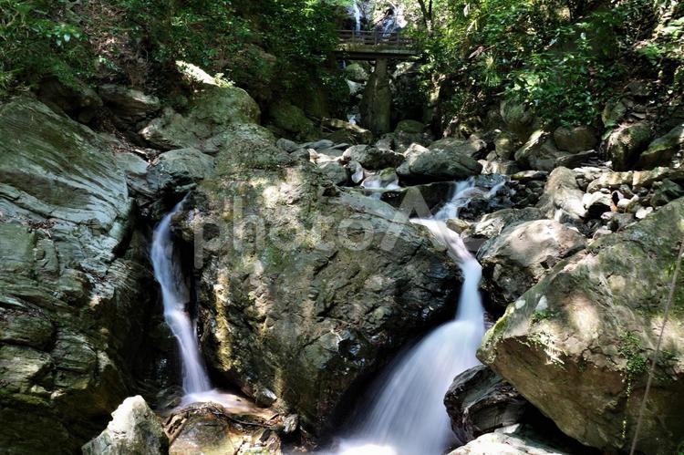 岩がたくさん転がる渓流 水,川,自然の写真素材