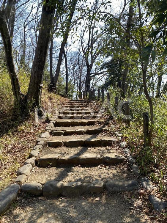 公園の散策路 階段,散策路,小道の写真素材