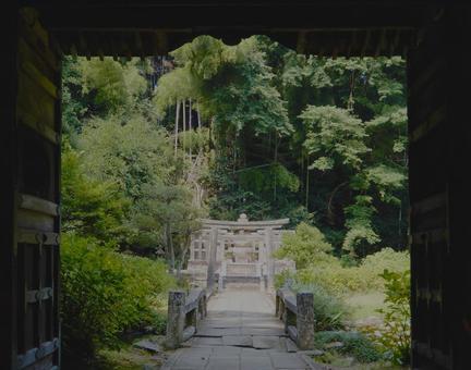 月照寺 松江 月照寺 松江 の写真