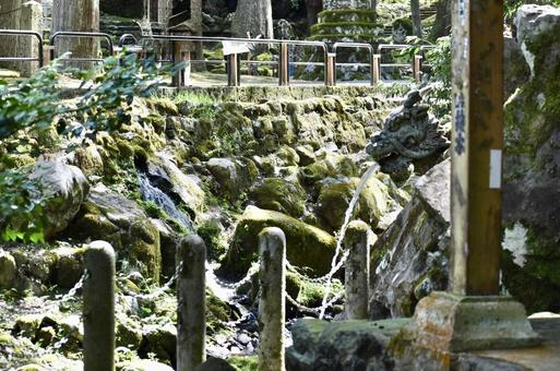 永平寺 夏の境内 永平寺 夏の境内 永平寺,福井,河原の写真素材