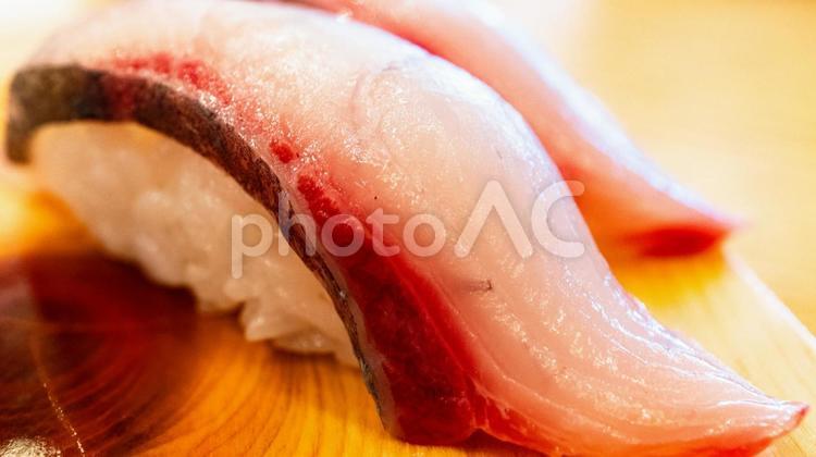 シマアジのにぎり寿司 シマアジ,にぎり寿司,寿司の写真素材