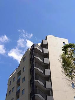 晴天の都会マンション マンション,建物,建築の写真素材