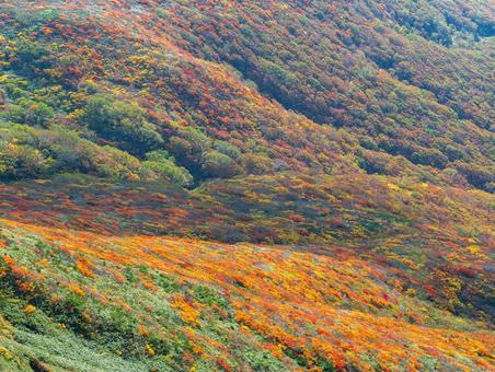 紅葉の栗駒山(須川岳) 紅葉の栗駒山(須川岳) 栗駒山,須川岳,紅葉の写真素材