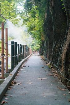山道 岩,木,木々の写真素材
