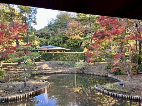 秋の日本庭園の池と紅葉 秋の日本庭園の池と紅葉 三溪園,神奈川,日本庭園の写真素材