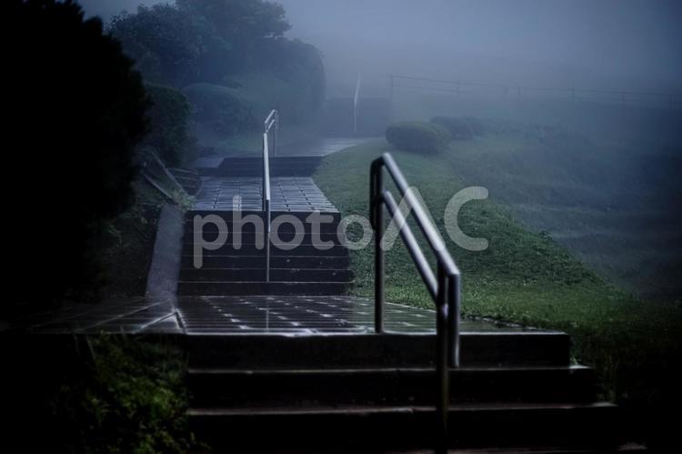 ＜五島の風景＞朝霧と雨の鬼岳登山道の風景 鬼岳,霧,霞の写真素材