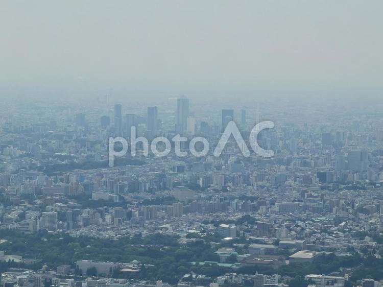 モヤのかかった東京の街 東京,都会,街並みの写真素材