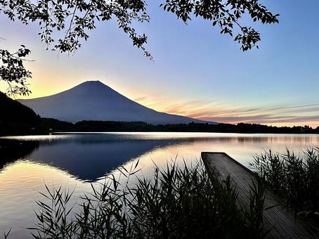 夜明けの田貫湖から見る富士山 夜明けの田貫湖から見る富士山 富士山,田貫湖,湖の写真素材