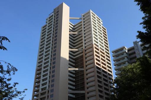 千葉県 柏の葉キャンパスの街並み 千葉県 柏の葉キャンパスの街並み 柏市,千葉県,柏の葉キャンパスの写真素材