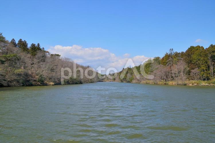 仙台市宮城野区　与兵衛沼 与兵衛沼,沼,宮城県の写真素材