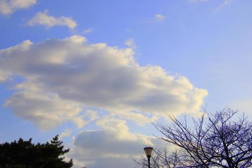 雲 雲の写真