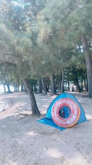 夏休み 夏休みの写真