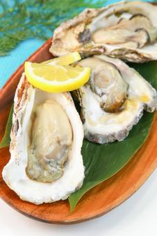 牡蠣 牡蠣,生牡蠣,岩牡蠣の写真素材