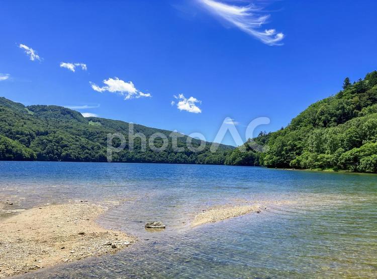 真夏の丸沼の湖畔から 丸沼,沼,湖の写真素材