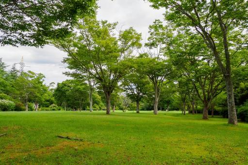 緑地公園の風景⑾ 緑地公園の風景⑾の写真