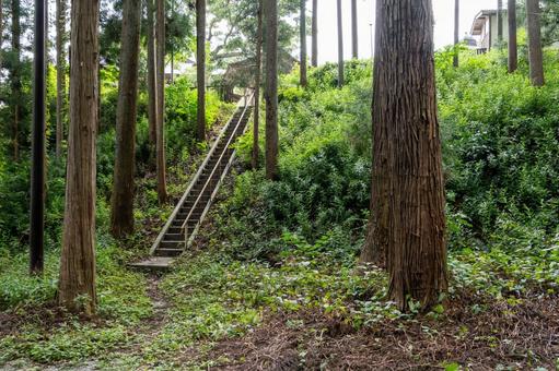 船迫熊野神社⒄ 船迫熊野神社⒄の写真
