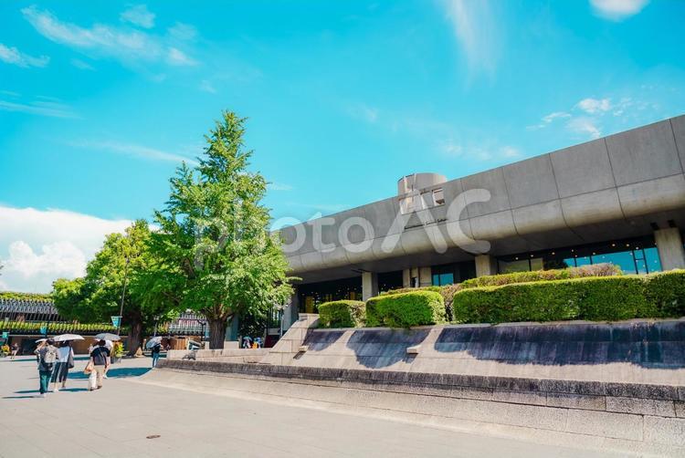 【東京】上野駅周辺 2025 上野公園,上野,東京の写真素材