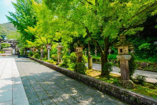 【岐阜】伊奈波神社 2025 【岐阜】伊奈波神社 2025の写真