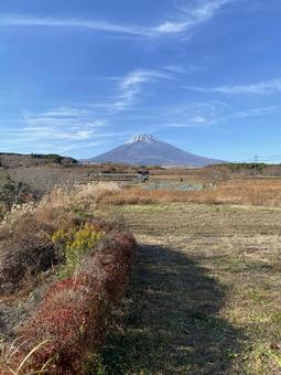 富士山_2の写真
