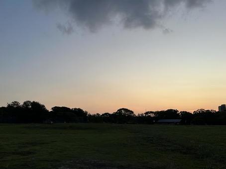 Grass field, roadside trees and sunset sky, JPG