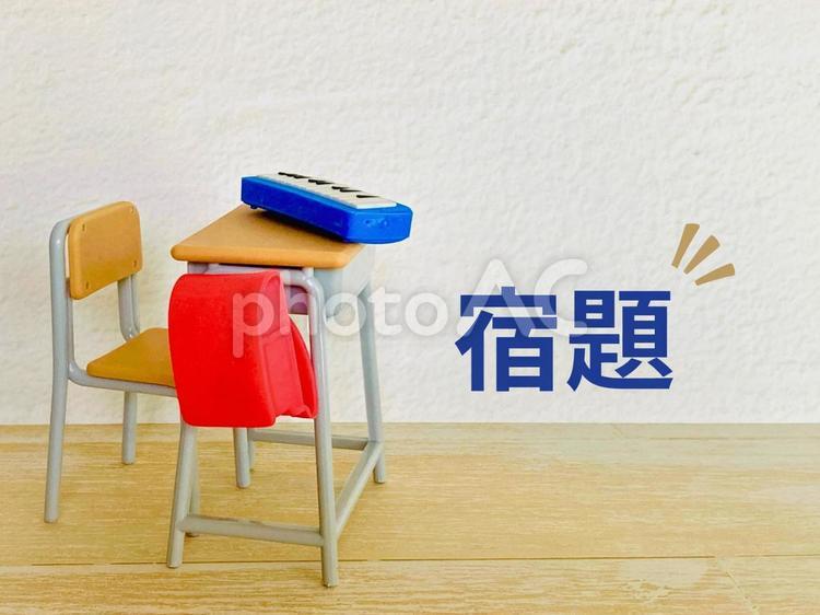 学校の宿題 宿題,勉強,学習の写真素材